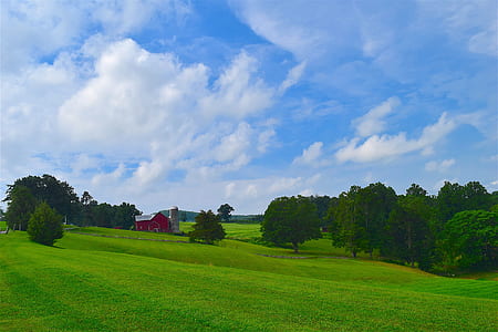 green trees on green field under white clouds thumbnail