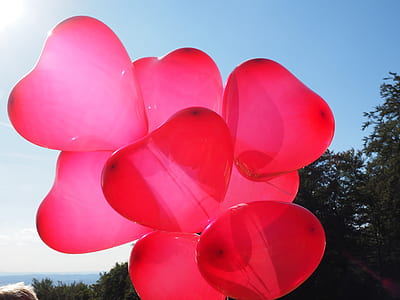 photo of bunch of heart balloons with trees in background thumbnail