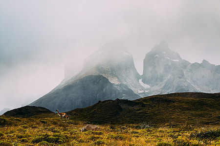 photo of mountains surrounded by fogs thumbnail