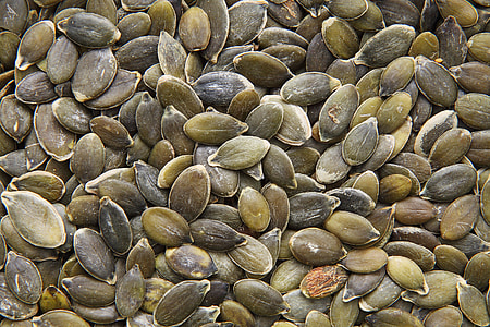 close up photo of squash seeds thumbnail