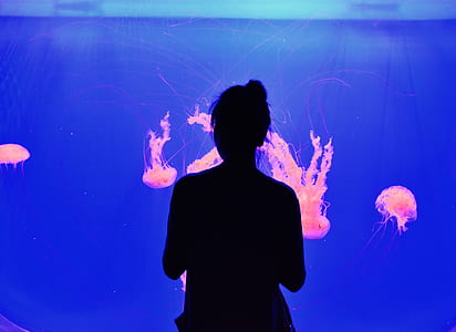 silhouette photo of woman facing aquarium watching pink jellyfishes thumbnail