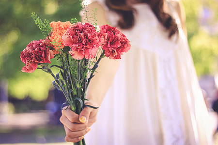 selective focus photography of red and orange carnation flowers thumbnail