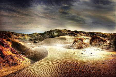 desert illustration thumbnail