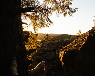 rock formation near trees during daytime thumbnail