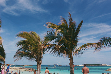 people walking on shore during daytime thumbnail
