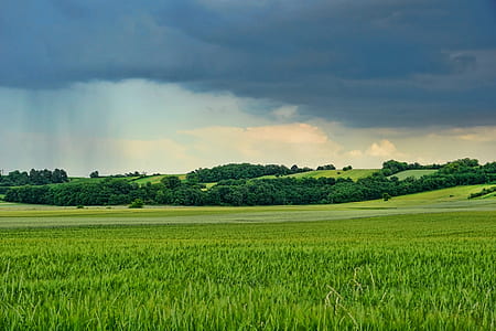 landscape photo of field of grass thumbnail