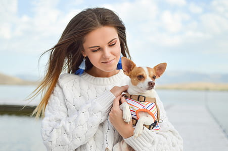 woman carrying chihuahua thumbnail