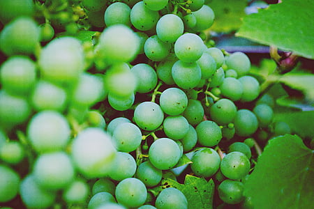 green grapes thumbnail