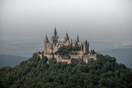 brown castle surrounded by green trees thumbnail