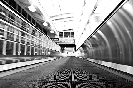 Pathway Grayscale Photo thumbnail