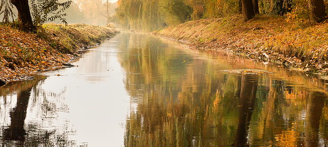 body of water beside trees thumbnail