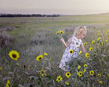 girl picking sunflower during daytime thumbnail