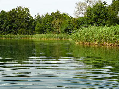 body of water near grasses thumbnail