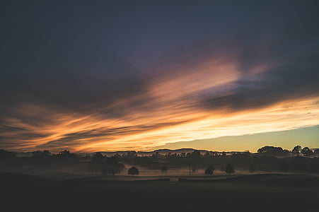 silhouette of trees under golden hour thumbnail