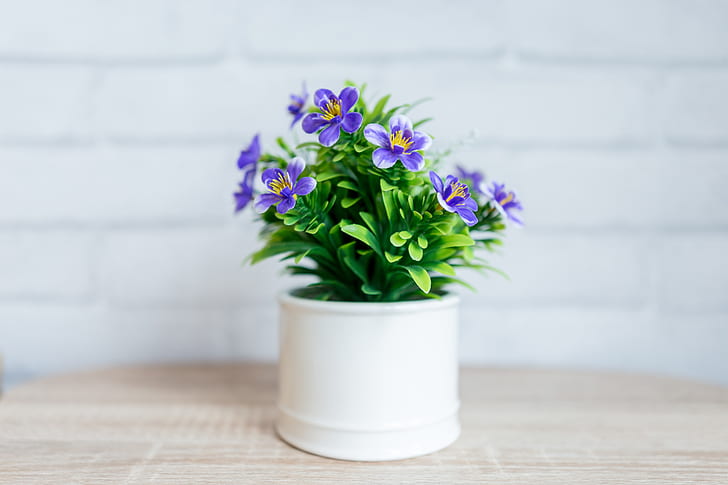 pot of purple petaled flowers