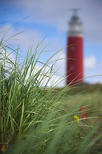 tilt-shift lens photography of grass thumbnail