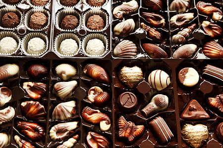 seashell chocolate lot thumbnail