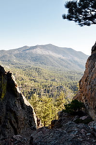 trees and mountain thumbnail