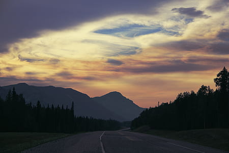 silhouette photography of road between trees thumbnail