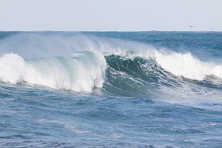 tidal wave during day time thumbnail