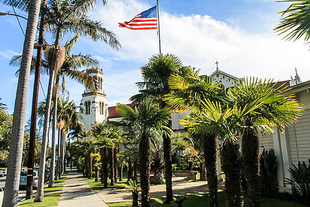 USA flag near palm trees thumbnail