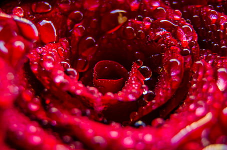 nature, art, water, texture thumbnail