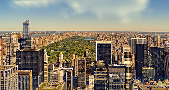 Eagle eye photography of landscape thumbnail