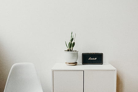 black Marshall guitar amplifier and pot of cactus plant on top of sideboard thumbnail