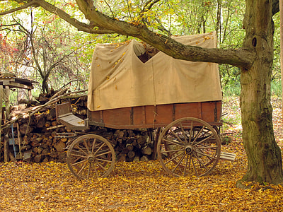 close up photo of brown wooden carriage thumbnail
