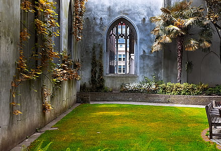 green and yellow lawn beside gray concrete walls with plants at daytime thumbnail