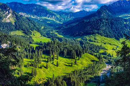 aerial view on body of water beside green tress near mountain thumbnail