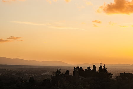 silhouette of trees overlooking city thumbnail