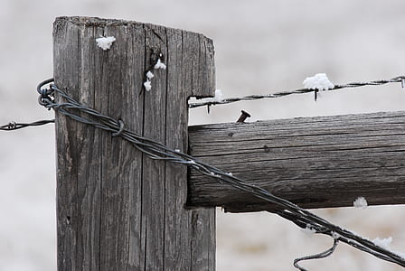 selective focus photography brown wooden fence post with barbed wire thumbnail