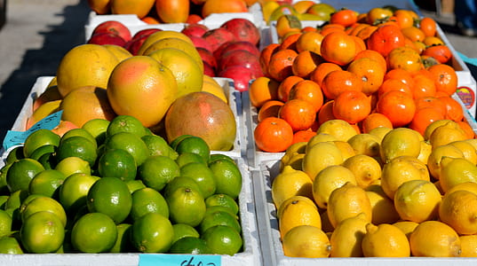 assorted fruits thumbnail