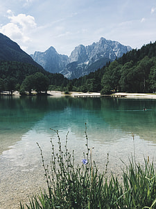 body of water near trees and mountain thumbnail