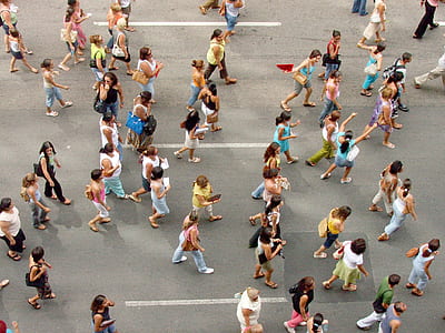 people walking in the road during daytime thumbnail