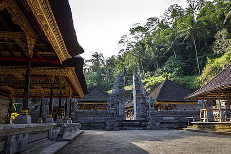 temple surrounded with trees thumbnail