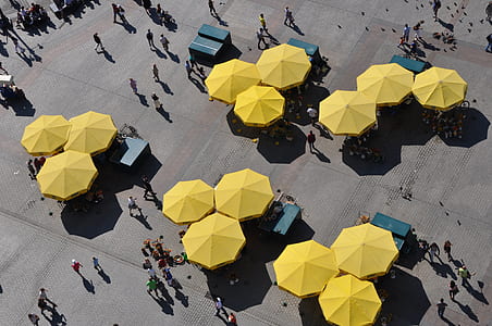 aerial photography of people walking at park thumbnail