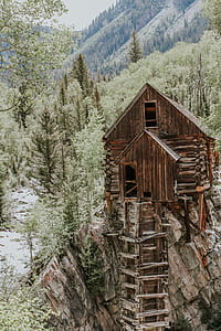 brown wooden house on cliff between trees at daytime thumbnail