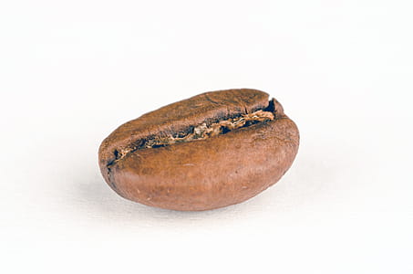 Oval Brown Stone thumbnail