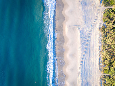 aerial view of ocean near forest at daytime thumbnail