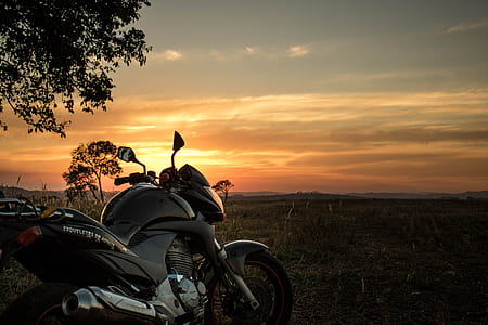 black sports bike parking near tree thumbnail