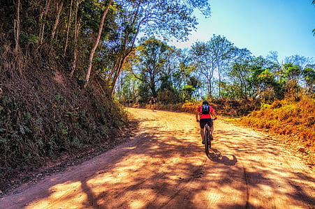 person in red top riding on bicycle thumbnail