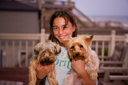 woman carrying to brown puppies thumbnail