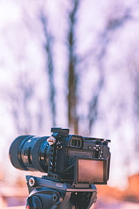 selective focus photography of black DSLR camera on stand near bare tree thumbnail