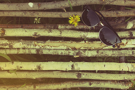 black Ray-Ban Clubmaster sunglasses flat lay photo thumbnail