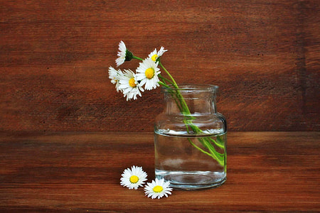 seven white-and-yellow flowers in clear glass vase thumbnail