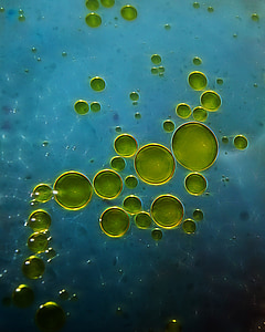 olive oil, background, art, macro, food, olive thumbnail