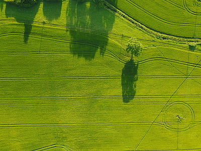 aerial photography of grass field thumbnail
