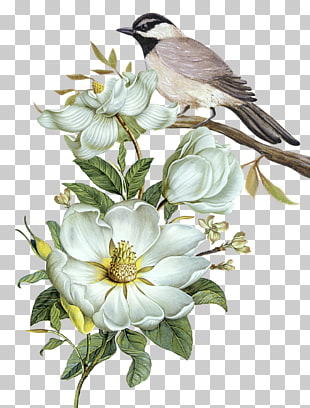 Pixel Computer file, Free hand-painted flowers and birds decorative patterns, brown and white bird on tree trunk illustration PNG clipart
